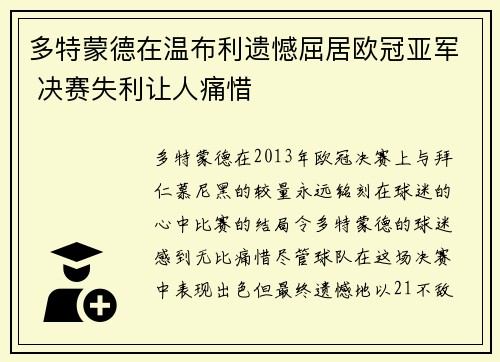多特蒙德在温布利遗憾屈居欧冠亚军 决赛失利让人痛惜